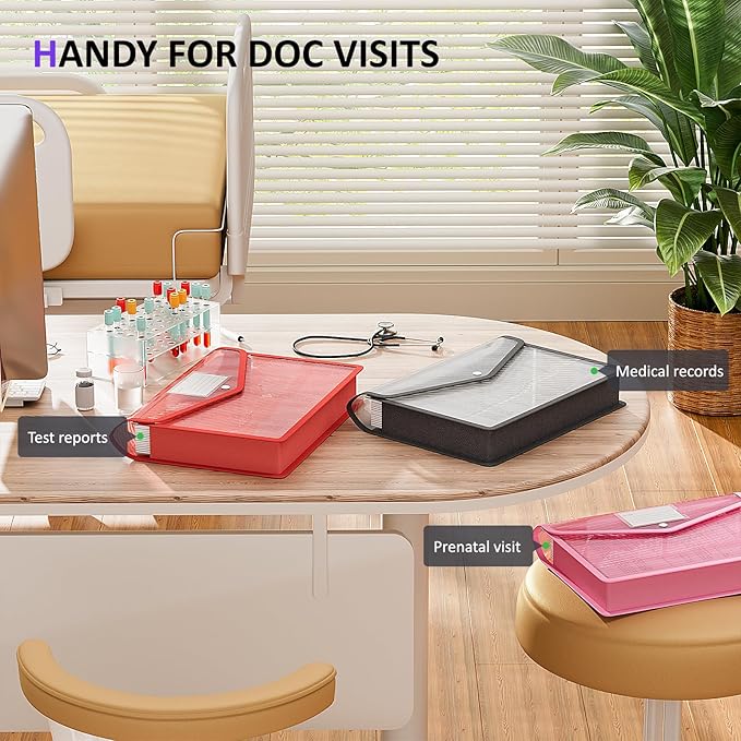 ThinkTex Plastic Expanding File Folder, Transparent Envelopes with Snap Closure,Suitable for Home, Office, School and Hospital, Large Capacity,No Dividers, 5 Colors, Fit Letter/A4 Size-10 Pcs