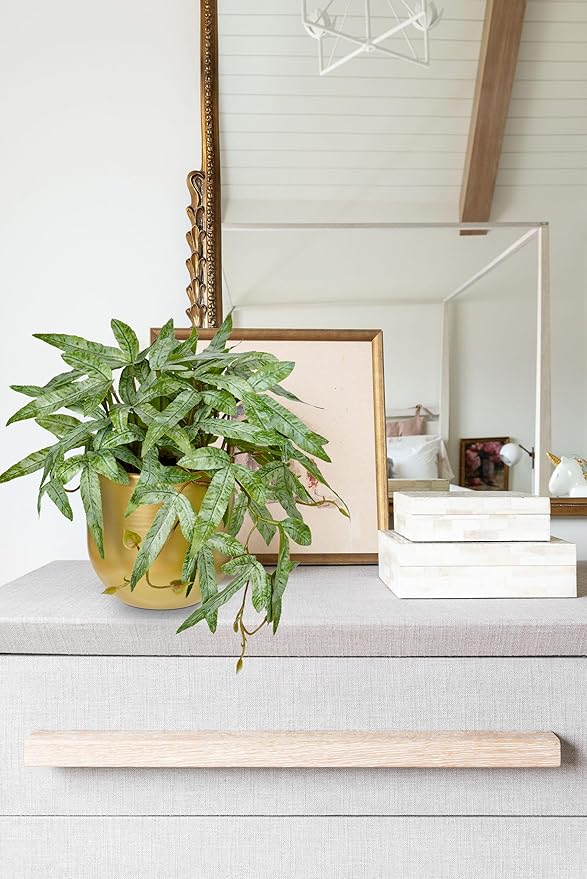 Briful Faux Plants Indoor 9'' Small Artificial Plant with Gold Pot Fake Pteris Cretica Fern Plant for Home Office Room Desk Shelf Decor Indoor