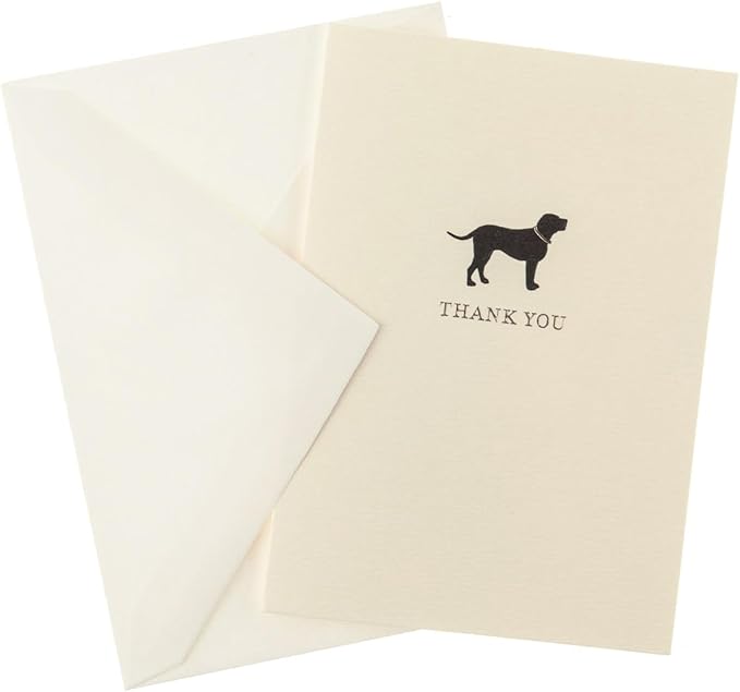 Graphique La Petite Presse Boxed Blank Thank You Cards - Black Lab with Gold Foil - Perfect Thank Yous for Gifts, Weddings, Bridal Showers, and More - Pack of 10 Cards with Envelopes (3.25 x 4.75")