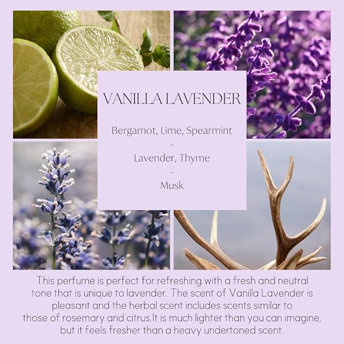 396 st. Preserved Baby's Breath Flower Reed Diffuser, Vanilla Lavender, 200ml(6.7oz) / Reed Diffuser Sets, Home Fragrance, Scented Oils, Home & Bathroom Décor