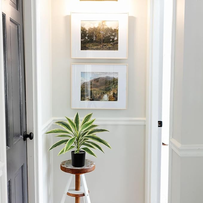 Artificial Plants Indoor with Pot, 18" Fake Potted Plants Medium Artificial Dracaena Plant in Black Pot Faux Tropical Plants for Bathroom Living Room Office Desk Shelf Decor