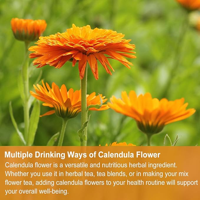 Jarteela Calendula Tea Bags, 1.5g x 36 - Natural, Non-GMO, Caffeine-free - Supports Digestion & Skin Health