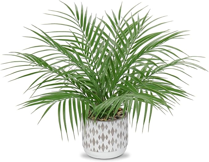 Hollyone Large Artificial Potted Plants Fake Palm Plants 16" Faux Green Plant Plastic Ceramic Tropical Palm Tree in Pots Bohemian for Home Room Office House Indoor Decorative