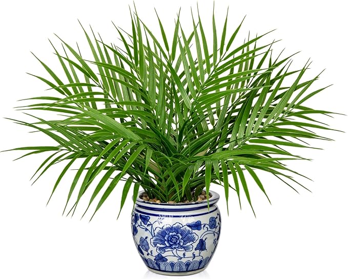 Hollyone Large Artificial Potted Plants Fake Palm Plants 16" Faux Green Plant Plastic Tropical Palm Tree in Blue and White Porcelain Ceramic Pots for Home Room Office House Indoor Decoration