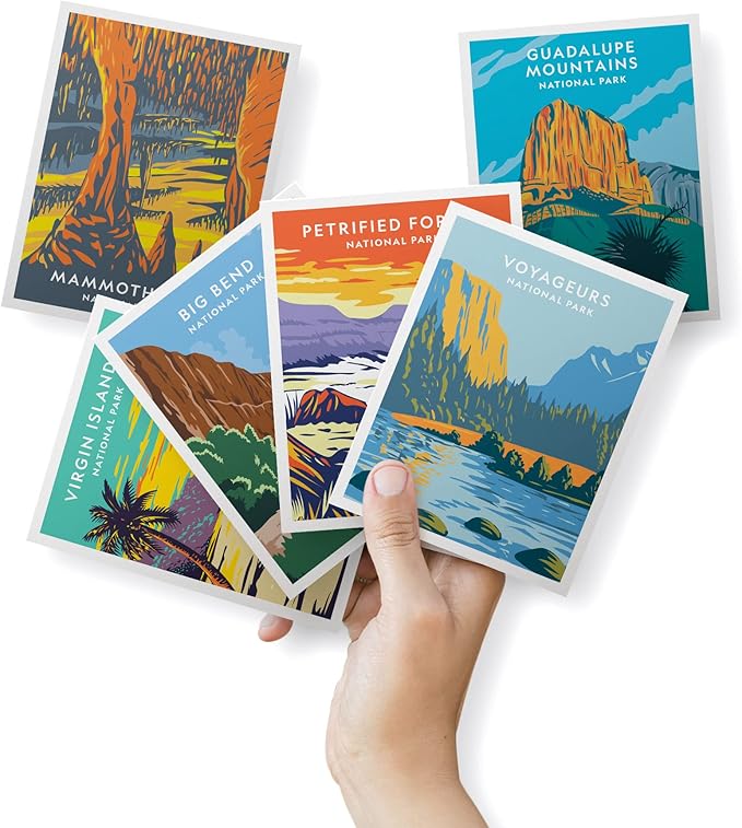 Twigs Paper - Assorted Nature National Parks Greeting Cards - Stationery Cards with Envelopes - Thank You and Blank Note Cards - Greeting Cards for All Occasions - Made in USA (5.5 x 4.25, Set of 12)