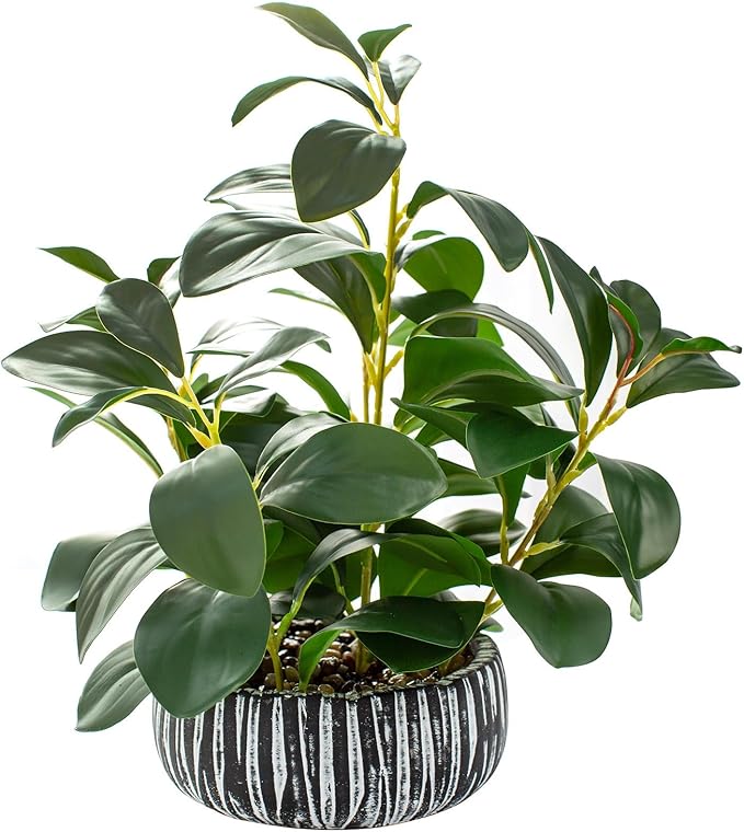 AlphaAcc Artificial Succulents Plants Decor Greenery Fake Succulents Indoor Potted Fake Plant with Rustic Black Clay Planter for Farmhouse Room Bathroom Bedroom Kitchen Office Dese Coffee Table Decor