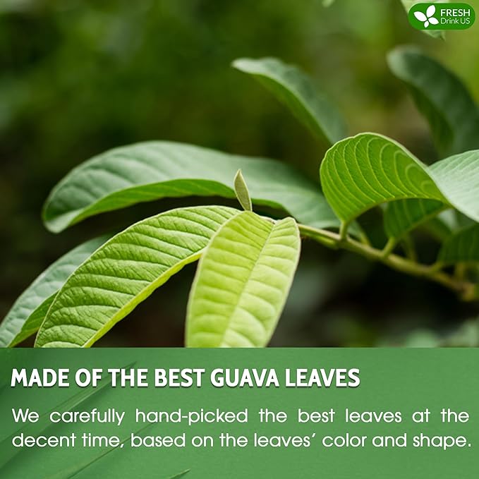 FreshDrinkUS, Premium 50+ Natural Guava Leaves, Whole Dried Leaves, 100% Pure, Natural Guava Loose Leaf Herbal Tea, Non GMO, No Additives, No Caffeine, Vegan