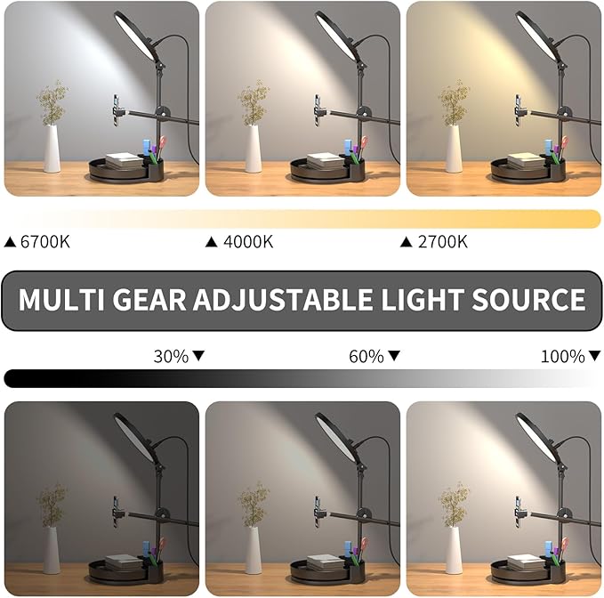 Selfie Light Kit for Desk and Laptop,55W Dimmable Full Screen Ring Light,with Rotating Storage Box,Pen Holder Stand,Phone Holder and Controller (Maya Blue, 10.5)