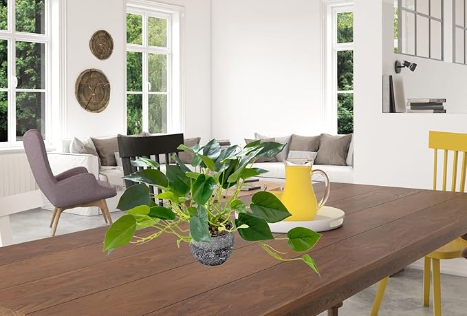 AlphaAcc Artificial Plants Potted Real Looking Small Faux Plant with Rustic Black Cement Planter for Kitchen Office Desk Bookshelf Decor (Ivy Plant)