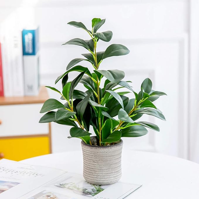 AlphaAcc 16 inch Artificial Indoor Plants Office Desk Faux Plant Peperomia Leaf Ficus Plant Realistic Small Fake Farmhouse Plants for Home Kitchen Bathroom Bedroom Evergreen Decor