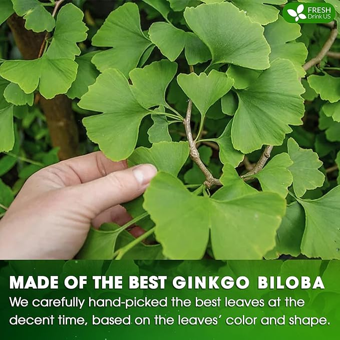 FreshDrinkUS, Premium 30 Ginkgo Biloba Leaf Tea Bags, 100% Natural & Pure from Ginkgo Biloba Leaves. Loose Leaf Herbal Tea. Made with Eco-Conscious Tea Bags. No Sugar, No Caffeine, No Gluten, Vegan.