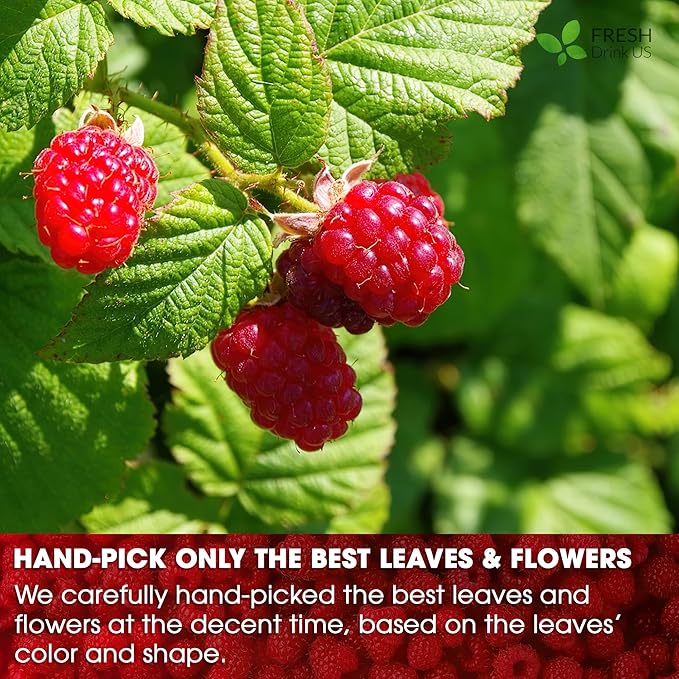 FreshDrinkUS, 75 Bags Premium Raspberry Leaf Teawith Chamomile Flavor, Eases Menstrual Cramps & Supports Healthy Pregnancy, Naturally, Caffeine-Free, Sugar Free, Vegan