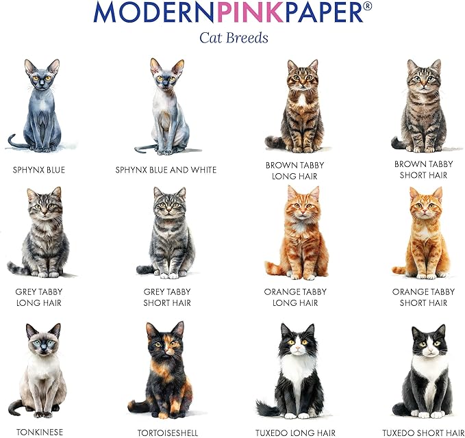 Personalized Stationery Note Cards With Cats, FLAT Watercolor Cat Notecards With Envelopes, Custom Cat Notecard With Name, Cat Lover Stationery Set For Adults, Your Choice of Color and Quantity