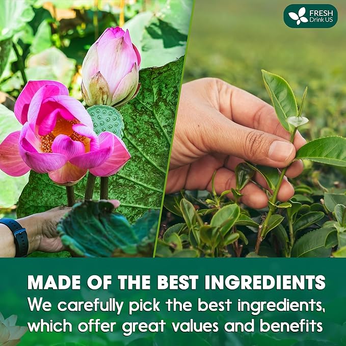 FreshDrinkUS, Premium 20 Tea Bags of Lotus Green Tea, 100% Natural. Exquisite Flavor, Handpicked Leaves, Perfect for Tea Lovers. No Sugar, No Gluten, Vegan.