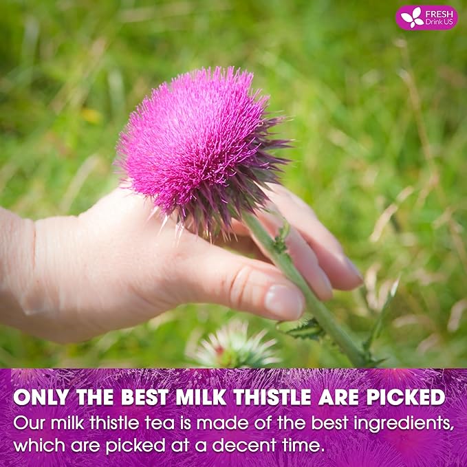 FreshDrinkUS, Premium 30 Milk Thistle Tea Bags, 100% Natural & Pure from Milk Thistle Seeds. Milk Thistle Seed Herbal Tea. Made with Natural Material Tea Bags. No Sugar, No Caffeine, No Gluten, Vegan.