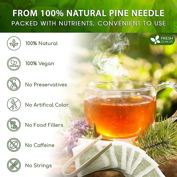 FreshDrinkUS, Pine Needle Tea Bags – 135 Tea Bags, Naturally Caffeine-Free, Refreshing Herbal Tea, Wild-Harvested Pine Leaves, Aromatic and Soothing – Non-GMO & Eco-Friendly Packaging