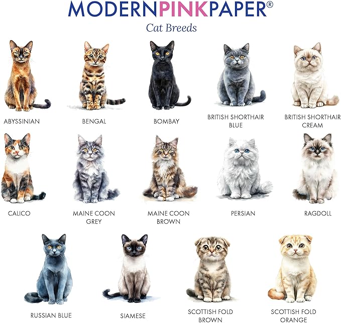 Personalized Cat Stationery Set For Women, Choose Your Cat Breed, FLAT Cute Cat Notecards With Envelopes, Kitten Notecard For Studying, Custom Note Cards With Cats, Your Choice of Color and Quantity